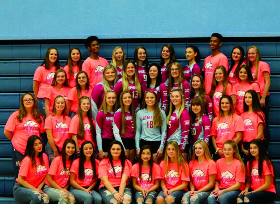 The entire girls volleyball team stands in the bleachers to promote the Dig Pink game at 7:00 p.m. in the gym. 