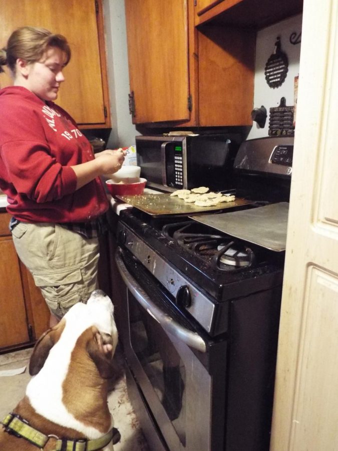 Armella Lane shapes dog treats and places them on the baking pan while Copper her American Bulldog begs for another treat at home May 5. 