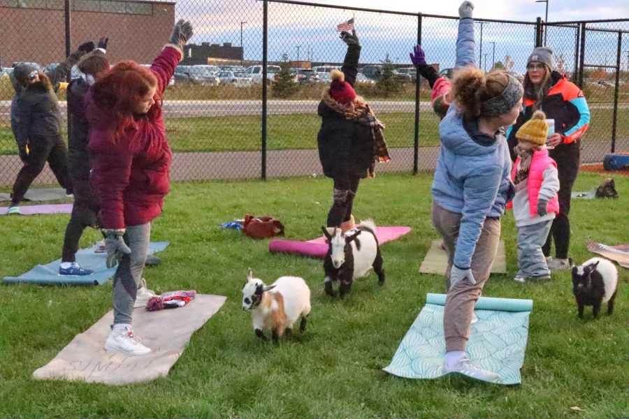 Junior Claire Farnham (right) and others participate in an instructed yoga class while mini goats roam around Monday Oct. 17.