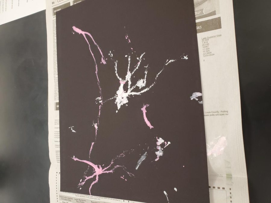 Artwork made by maggots during creative creatures teen science cafe on Feb 10.