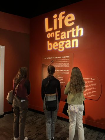 Juniors Paige Mattson (left), Nora Wells (middle), and Kylie Peterson observe the evolution exhibit and the Field Museum of Natural History during the Chicago field trip, Mar 3. 