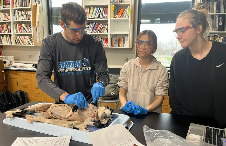 Anatomy teacher Lee Sims (from left) and juniors, Mandy Ye and Jade Palmer dissecting a cat for their final unit before school ends.