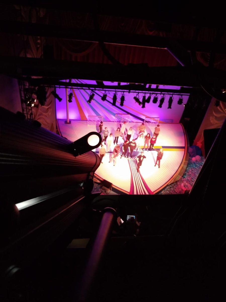 View from the catwalk of the NorShor theater.