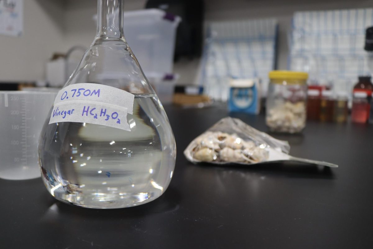 Chemistry Equipment used by Tyler Ross' Chemistry class on May 17, 2024. The Ocean Acidification Experiment involves pouring acid onto sea shells to show students the effect of imbalance of PH in ocean water.