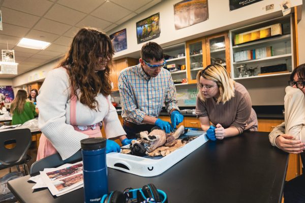 Seniors Shannon Riley (Left) and Teagan Jesberg (Right) watch as science teacher Lee Sims (Center) shows off parts of a cat in his Human Anatomy and Physiology class on May 14, 2024.