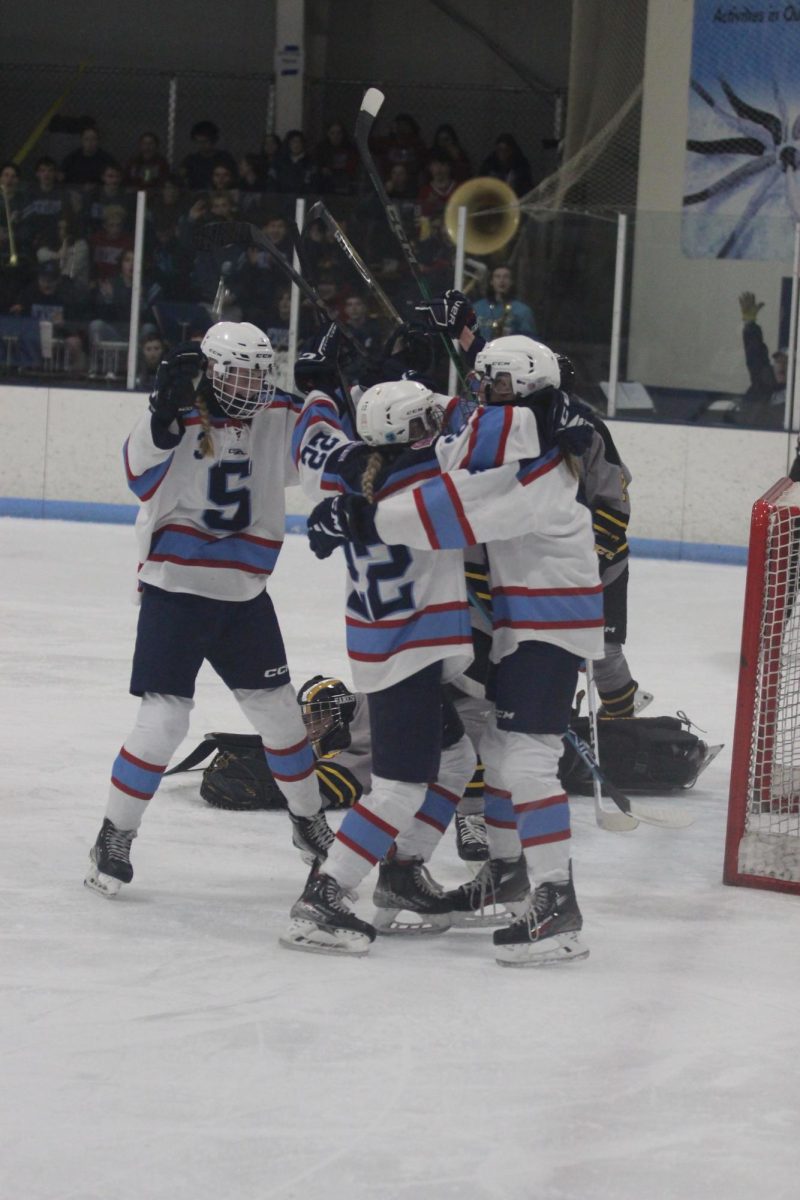 Senior Emma Ferg (22) and teammates celebrate together after scoring the first goal of the game on Feb. 25 at Superior Amateur Hockey Association.