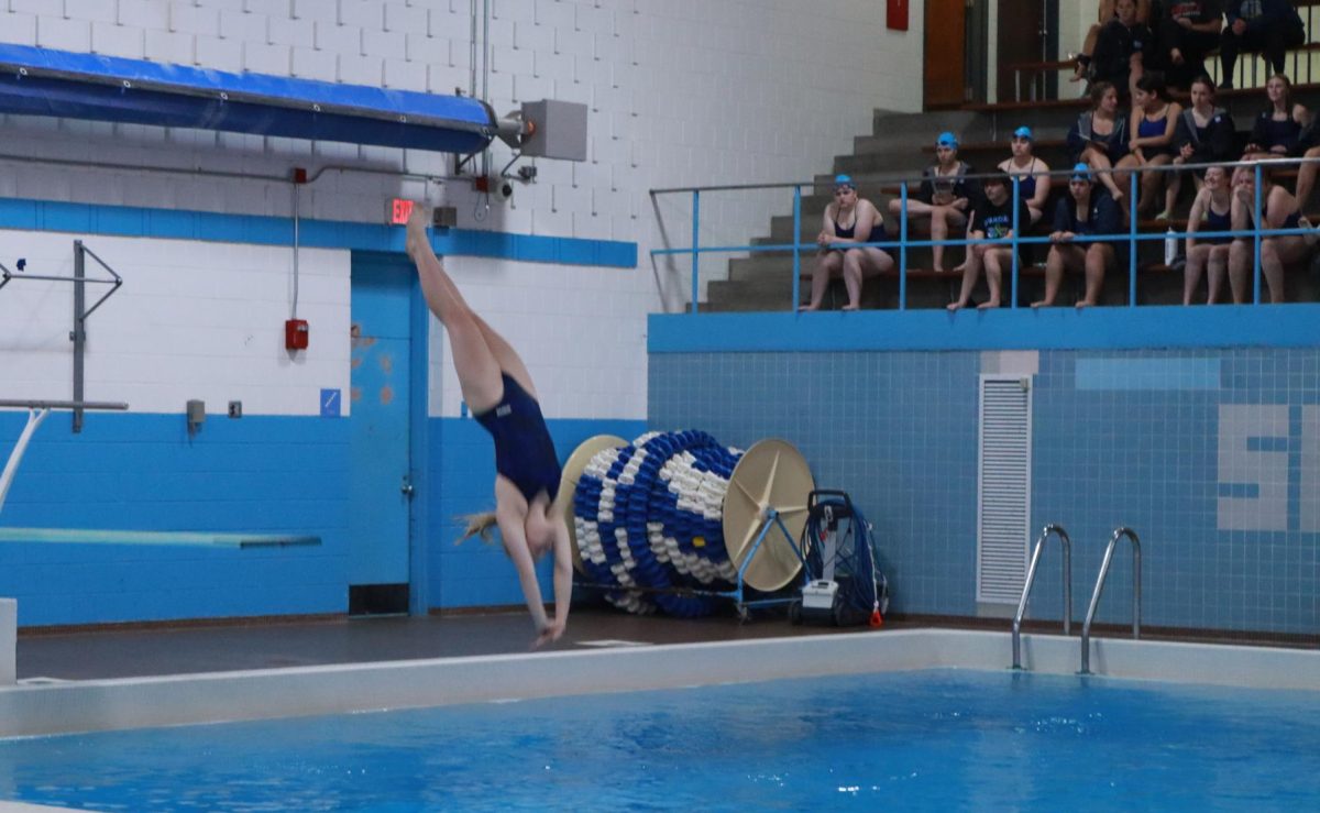 Senior Olivia Wolbert dives at the Superior natatorium on Oct. 16. 