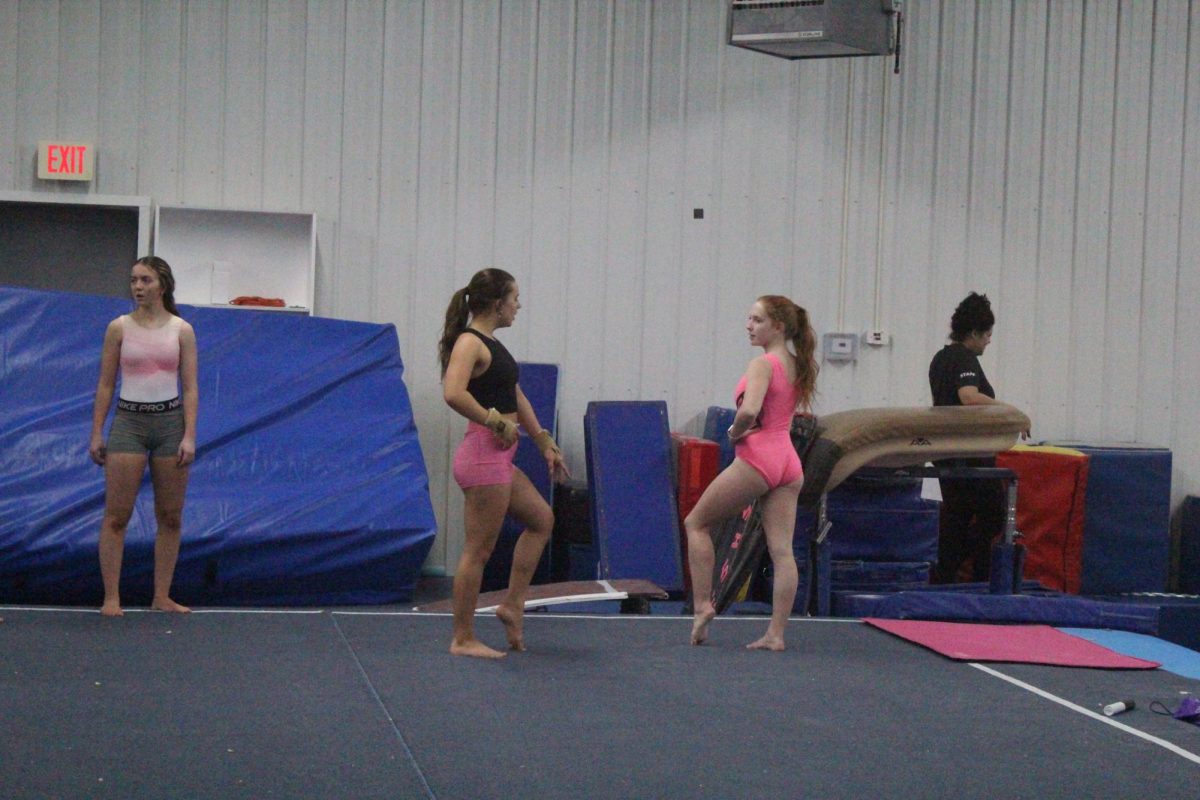 Junior Avery Waletzko (Pink Leotard [right]) gives advice to Doris Ewald (Black tank top and pink shorts [left]) at Twin Ports Gymnastics during the Floor event. She helps to give advice to her fellow teammate on the high school gymnastics team. 