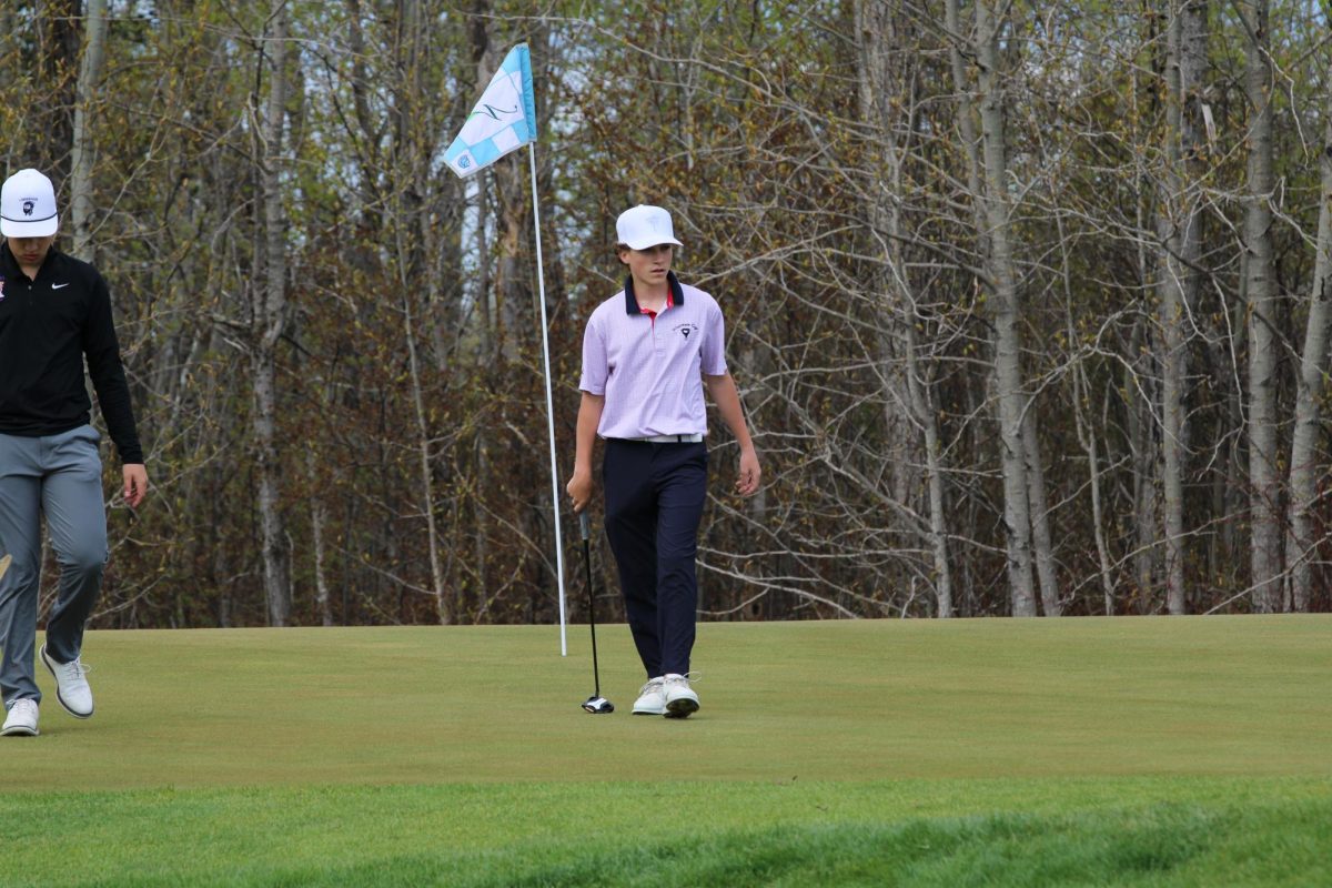 Freshman Liam Anderson walks back after putting on hole 2 North/South at Nemadji Golf Course on May 20.